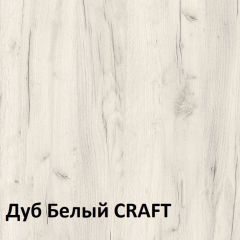 Юнона Шкаф торцевой 13.221 в Губахе - gubaha.mebel24.online | фото 3