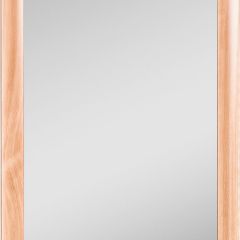 Зеркало МДФ профиль 1200х600 Бук Домино (DM9002Z) в Губахе - gubaha.mebel24.online | фото 1