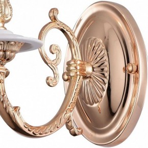 Бра Arte Lamp 8020 A8020AP-1WG в Губахе - gubaha.mebel24.online | фото 4