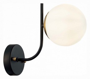 Бра EVOLUCE Ciane SLE1098-401-01 в Губахе - gubaha.mebel24.online | фото 3