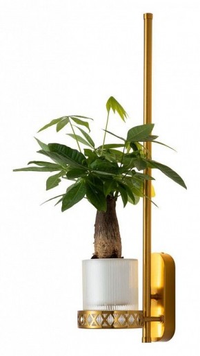 Бра Favourite Greenery 4050-1W в Губахе - gubaha.mebel24.online | фото 3