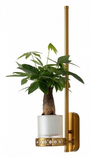 Бра Favourite Greenery 4050-1W в Губахе - gubaha.mebel24.online | фото 4
