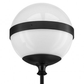 Бра Lightstar Globo 813617 в Губахе - gubaha.mebel24.online | фото 3