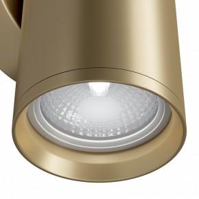 Бра Maytoni Focus S C068WL-02MG в Губахе - gubaha.mebel24.online | фото 4