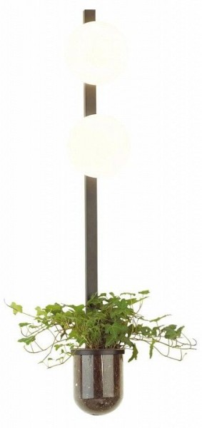 Бра Odeon Light Flower 4681/2WA в Губахе - gubaha.mebel24.online | фото 3