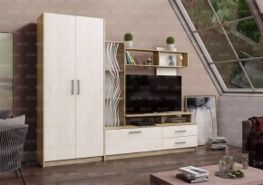 ДАРЬЯ Гостиная (Крафт серый/Крафт белый) модульная в Губахе - gubaha.mebel24.online | фото