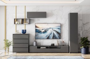 ДЕНВЕР Гостиная (Варианнт-1) Графит серый в Губахе - gubaha.mebel24.online | фото
