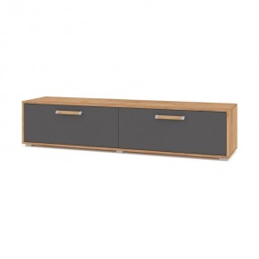 ФЛОРИДА Ф31 Тумба ТВ (дуб золотой/графит) в Губахе - gubaha.mebel24.online | фото