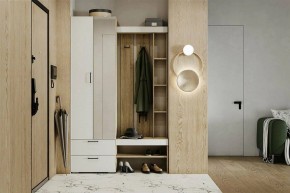 Гарнитур для прихожей Торонто в Губахе - gubaha.mebel24.online | фото 5
