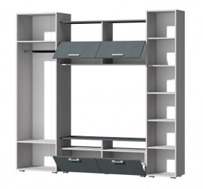 Гостиная Эмми (Анкор светлый/Графит) в Губахе - gubaha.mebel24.online | фото 3