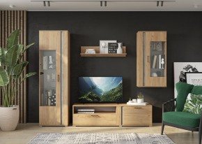 Гостиная Омега (Крафт золотой-Бетон) в Губахе - gubaha.mebel24.online | фото
