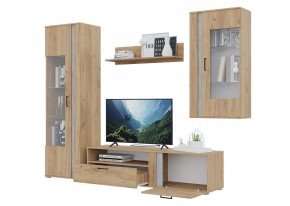 Гостиная Омега (Крафт золотой-Бетон) в Губахе - gubaha.mebel24.online | фото 4