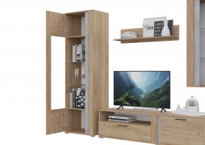 Гостиная Омега (Крафт золотой-Бетон) в Губахе - gubaha.mebel24.online | фото 5
