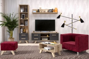 Гостиная Вега Скандинавия (комплект 5) в Губахе - gubaha.mebel24.online | фото 2