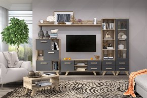 Гостиная Вега Скандинавия (комплект 6) в Губахе - gubaha.mebel24.online | фото 2