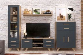 Гостиная Вега Скандинавия (комплект 7) в Губахе - gubaha.mebel24.online | фото 2