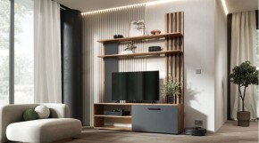КАРОЛИНА Гостиная (дуб вотан/графит) в Губахе - gubaha.mebel24.online | фото