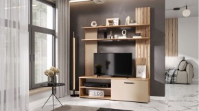 КАРОЛИНА Гостиная (дуб вотан/кашемир) в Губахе - gubaha.mebel24.online | фото