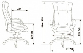 Кресло для руководителя Бюрократ CH-879N в Губахе - gubaha.mebel24.online | фото