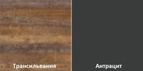 Кухонный гарнитур угловой Трансильвания 2600х1600 мм (Стол. 26 мм) в Губахе - gubaha.mebel24.online | фото 3