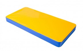 Мат гимнастический 1х0,5х0,08м цв. синий-желтый в Губахе - gubaha.mebel24.online | фото 1