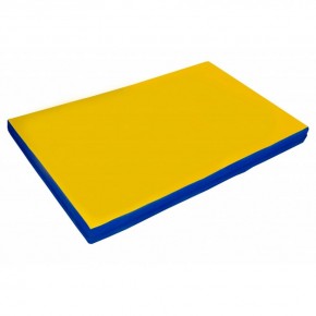 Мат гимнастический 2х1х0,05м цв. синий-желтый в Губахе - gubaha.mebel24.online | фото 1