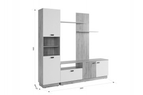 МОДИ К1 Гостиная (белое дерево) в Губахе - gubaha.mebel24.online | фото 2