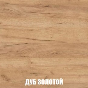 МСП-1 Шкаф 2-х створчатый (Дуб Золотой/Камень темный) в Губахе - gubaha.mebel24.online | фото 4