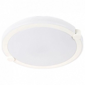 Накладной светильник Arte Lamp Biscotti A2679PL-72WH в Губахе - gubaha.mebel24.online | фото