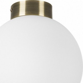 Накладной светильник Lightstar Globo 812021 в Губахе - gubaha.mebel24.online | фото 3