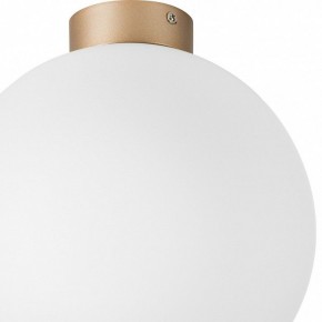 Накладной светильник Lightstar Globo 812033 в Губахе - gubaha.mebel24.online | фото 2