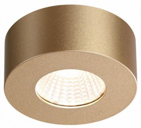 Накладной светильник Odeon Light Bene 4284/7CL в Губахе - gubaha.mebel24.online | фото 4