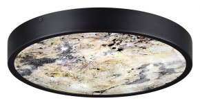 Накладной светильник Odeon Light Bergi 5064/30L в Губахе - gubaha.mebel24.online | фото 4