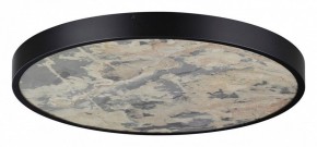 Накладной светильник Odeon Light Bergi 5064/50L в Губахе - gubaha.mebel24.online | фото 3