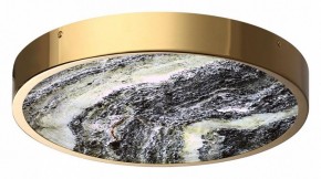 Накладной светильник Odeon Light Bergi 5079/30L в Губахе - gubaha.mebel24.online | фото 3