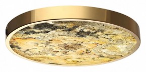 Накладной светильник Odeon Light Bergi 5079/40L в Губахе - gubaha.mebel24.online | фото 2