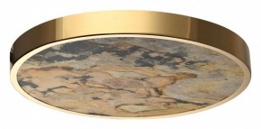 Накладной светильник Odeon Light Bergi 5079/40L в Губахе - gubaha.mebel24.online | фото 4