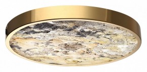 Накладной светильник Odeon Light Bergi 5079/40L в Губахе - gubaha.mebel24.online | фото 6