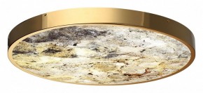 Накладной светильник Odeon Light Bergi 5079/50L в Губахе - gubaha.mebel24.online | фото 5