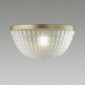 Накладной светильник Odeon Light Malaga 4936/1W в Губахе - gubaha.mebel24.online | фото 2