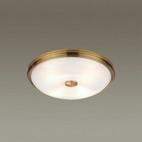 Накладной светильник Odeon Light Pelow 4956/4 в Губахе - gubaha.mebel24.online | фото 2