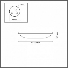 Накладной светильник Odeon Light Pelow 4956/4 в Губахе - gubaha.mebel24.online | фото 3