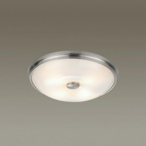 Накладной светильник Odeon Light Pelow 4957/4 в Губахе - gubaha.mebel24.online | фото 2