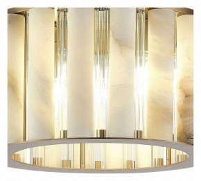 Накладной светильник ST-Luce Delight SL1516.302.06 в Губахе - gubaha.mebel24.online | фото 4