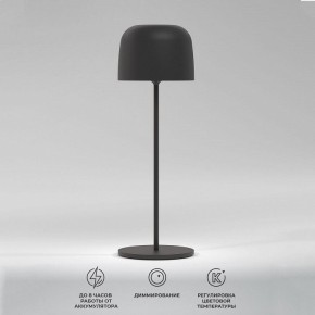 Настольная лампа декоративная Elektrostandard Bitty a069002 в Губахе - gubaha.mebel24.online | фото 2
