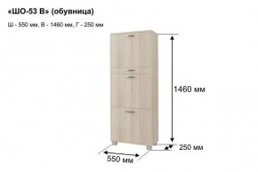 ШО-53 В тумба для обуви в Губахе - gubaha.mebel24.online | фото 8