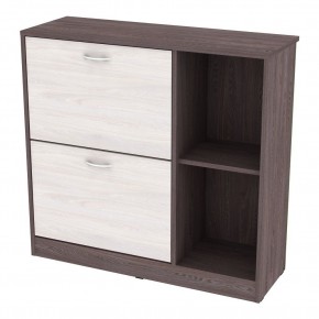 Обувница W29 (ЯАТ-ЯАС) в Губахе - gubaha.mebel24.online | фото