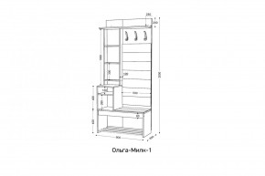 ОЛЬГА-МИЛК Прихожая (модульная) в Губахе - gubaha.mebel24.online | фото 2