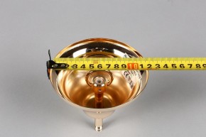Подвесная люстра Aployt Daniele APL.701.03.12 в Губахе - gubaha.mebel24.online | фото 6