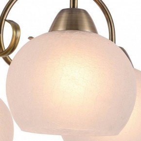 Подвесная люстра Arte Lamp Margo A9317LM-5AB в Губахе - gubaha.mebel24.online | фото 2
